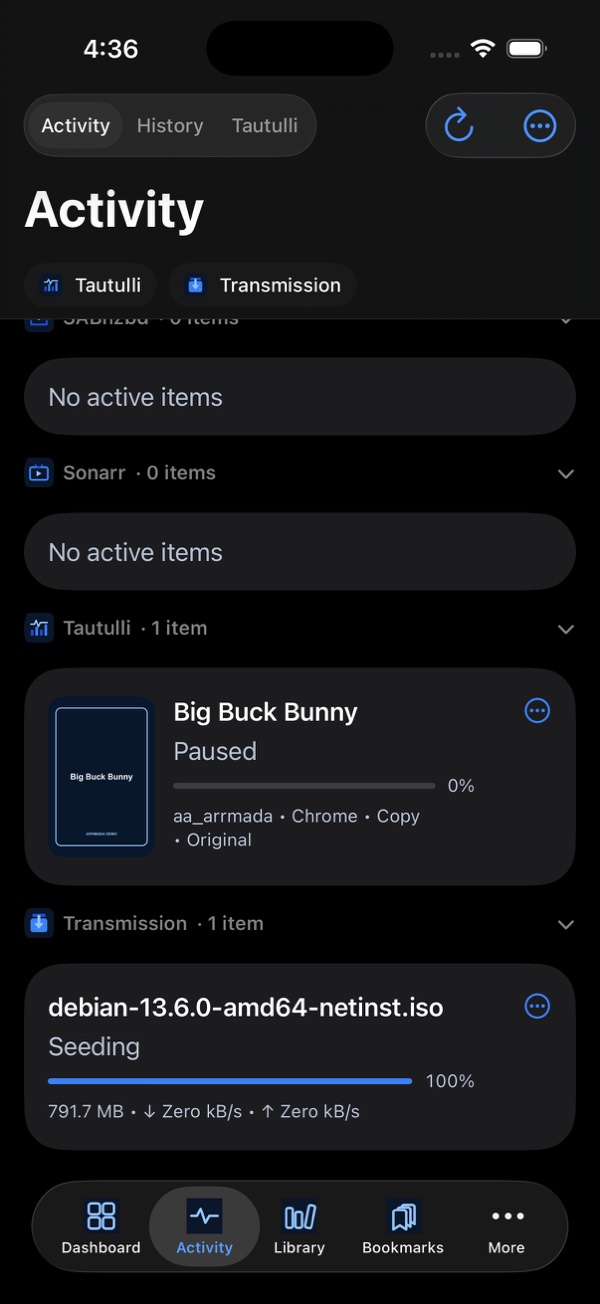 Arrmada activity screen on iPhone combining playback and download queues